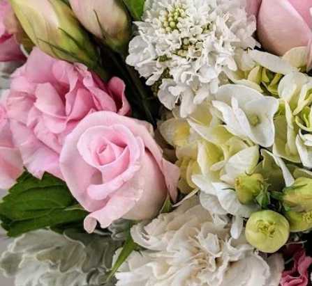 Virgin Flowers