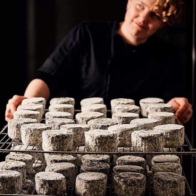 Boat Shed Cheese